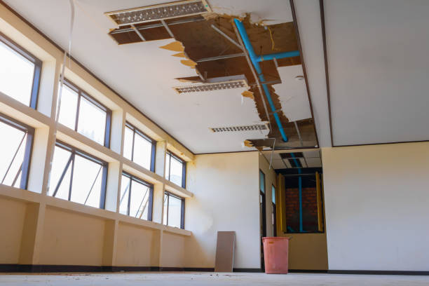 Best Emergency water damage restoration  in Holmes Beach, FL
