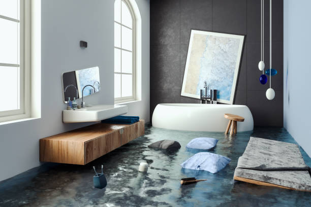 Best Basement water damage restoration  in Holmes Beach, FL