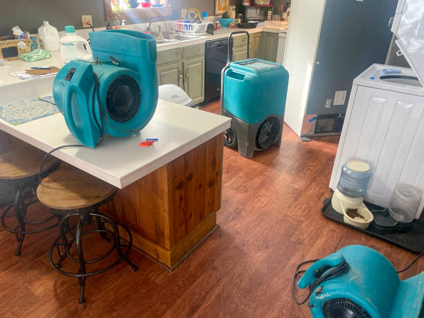 Best Water damage restoration near me  in Holmes Beach, FL
