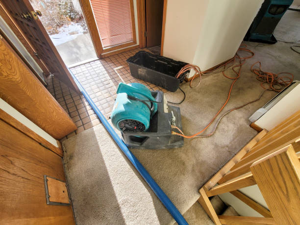 Best Fire Damage Restoration  in Holmes Beach, FL