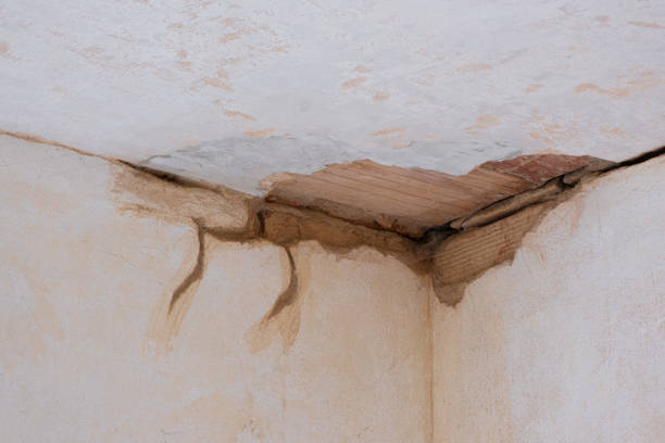 Best Sewage cleanup and water damage restoration  in Holmes Beach, FL