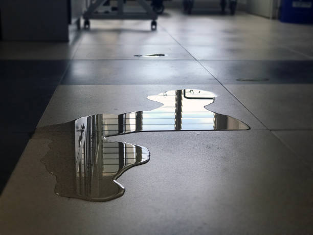 Best 24/7 water damage repair  in Holmes Beach, FL
