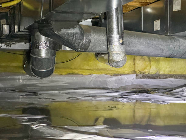Best Water damage cleanup near me  in Holmes Beach, FL