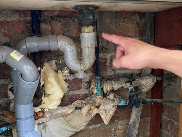 Best Carpet water damage restoration  in Holmes Beach, FL