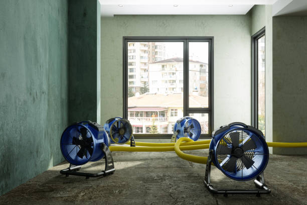 Best Residential water damage restoration  in Holmes Beach, FL