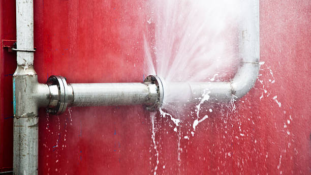 Best Flooded house restoration  in Holmes Beach, FL
