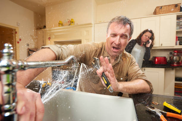Best Flooded house restoration  in Holmes Beach, FL